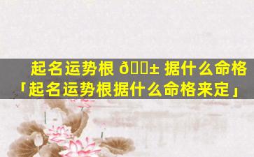 起名运势根 🐱 据什么命格「起名运势根据什么命格来定」